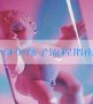 未婚单身生孩子流程指南分享？掌握预算范围！