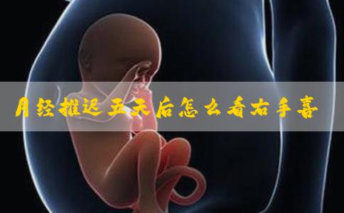 月经推迟五天后怎么看右手喜脉？