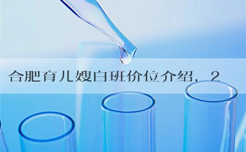合肥育儿嫂白班价位介绍，2024不知道哪个公司好快看
