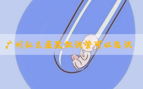 广州私立医院做试管可以选试管吗？附费用支出明细！
