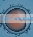 女人五十岁了还能不能生孩子，受孕率是多少？