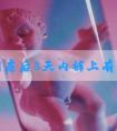 无套同房后8天内裤上有什么说明已怀孕了?
