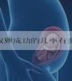 21岁取卵成功的几率有多高呢？