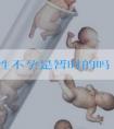 免疫性不孕是暂时的吗 ?