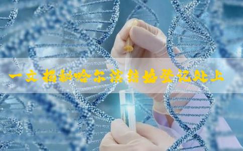 一文揭秘哈尔滨结婚登记处上班时间，周六能否办都有答案
