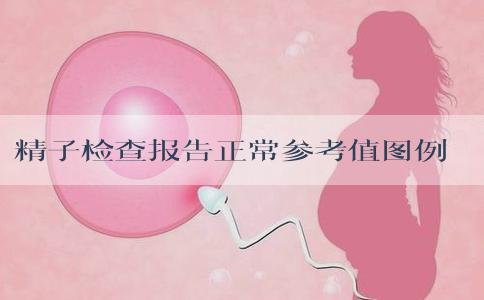 精子检查报告正常参考值图例分析，关注这3项指标就够了