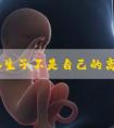 浅谈婚生子不是自己的离婚咋判,想造是否会净身出户收藏
