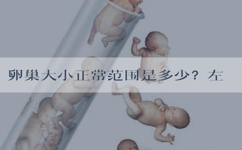 卵巢大小正常范围是多少？左卵巢大小22x16正常吗？