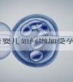做试管婴儿如何增加受孕率？
