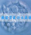 子宫内膜菲薄是什么原因引起的能不能试管婴儿助孕