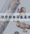 第三代试管胚胎筛查有没有风险速览,不影响质量别瞎担心