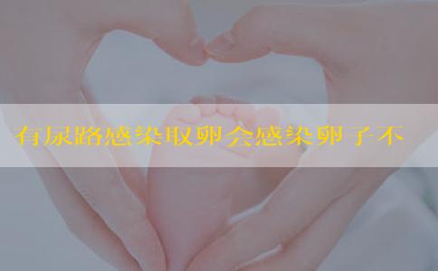 有尿路感染取卵会感染卵子不？