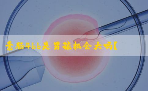 囊胚4bb是男孩机会大吗？生男生女概率都只有50%