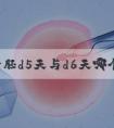 试管囊胚d5天与d6天哪个好？你们想知道的区别在这里