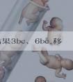 养囊结果3bc、6bc,移植应如何选,囊胚小知识看完便知