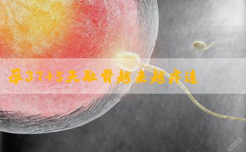 孕37+5天耻骨越来越疼连翻身都疼是不是宫口开了？