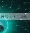 孕妇梦见死人并非凶兆!相关胎梦具体分析
