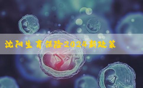 沈阳生育保险2024新政策，和平区分娩当月满10个月可报销