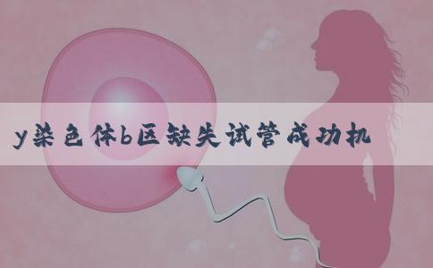 y染色体b区缺失试管成功机会有多少？