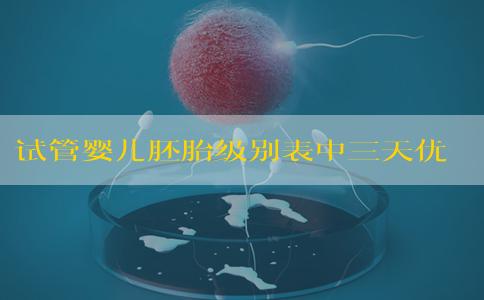 试管婴儿胚胎级别表中三天优胚是几级几细胞鲜胚？