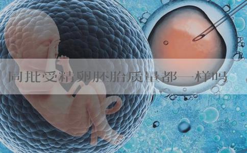同批受精卵胚胎质量都一样吗？