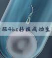 五天囊胚4bc移植成功生下宝宝的姐妹多吗？求经验分享！