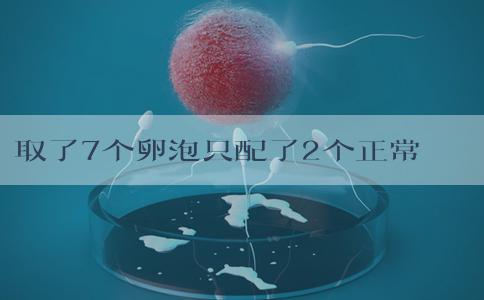 取了7个卵泡只配了2个正常吗？取了七个卵？
