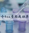移植两个4ca囊胚成功率怎么样？