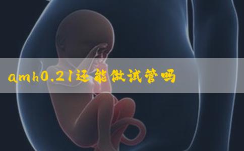amh0.21还能做试管吗？卵巢早衰、停经也有怀孕的希望
