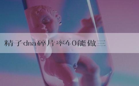 精子dna碎片率40能做三代试管吗？