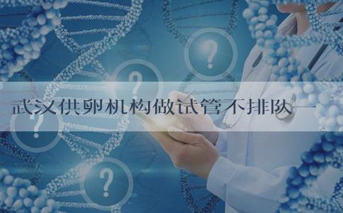 武汉供卵机构做试管不排队一般费用要15多万才够吗？