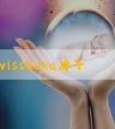 澳洲swissedha牌子的孕产妇dha鱼油胶囊功效怎么样？