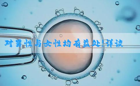 对男性与女性均有益处!详谈促黄体生成素的作用