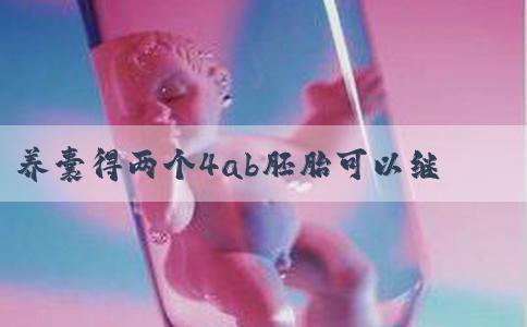 养囊得两个4ab胚胎可以继续移植吗？做三代成功率多少？