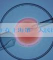 2024年在上海第一人民医院做试管婴儿的成功率有多高？