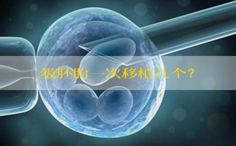 二级胚胎一次移植几个？