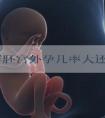 试管鲜胚宫外孕几率大还是5天的囊胚宫外孕几率大?
