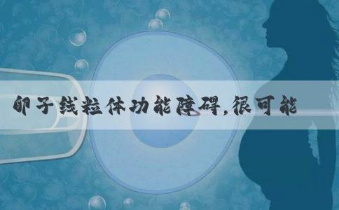 卵子线粒体功能障碍，很可能是因为这个指标偏高？检查不足百元，大龄一定要查！