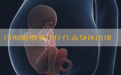 白细胞增多往往代表身体出现了某种问题才会导致的一种现象