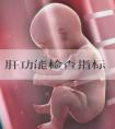 肝功能检查指标
