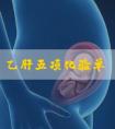 乙肝五项化验单