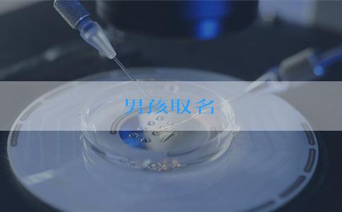 男孩取名