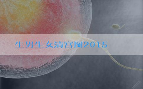 生男生女清宫图2015