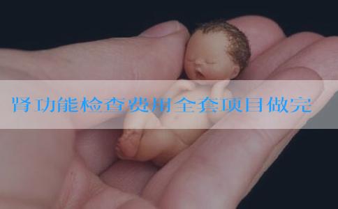 肾功能检查费用全套项目做完需要多少