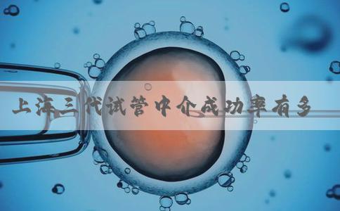 上海三代试管中介成功率有多高！上海三代试管婴儿哪个医院成功率最高！