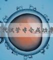 上海三代试管中介成功率有多高！上海三代试管婴儿哪个医院成功率最高！