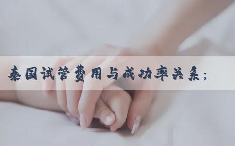 泰国试管费用与成功率关系：高价是否等于高成功率？