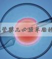 三代试管婴儿必须单胎移植！避免多胎妊娠风险是其一