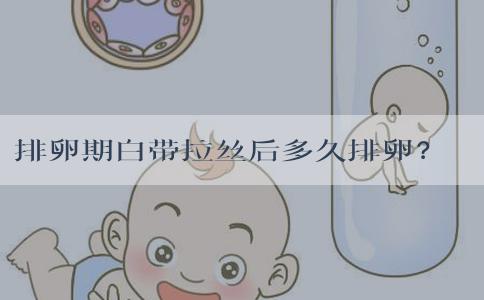 排卵期白带拉丝后多久排卵？排卵期白带拉丝后多久同房？