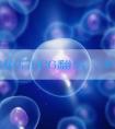 胚胎移植后HCG翻倍,本以为是怀上了,结果却是空囊